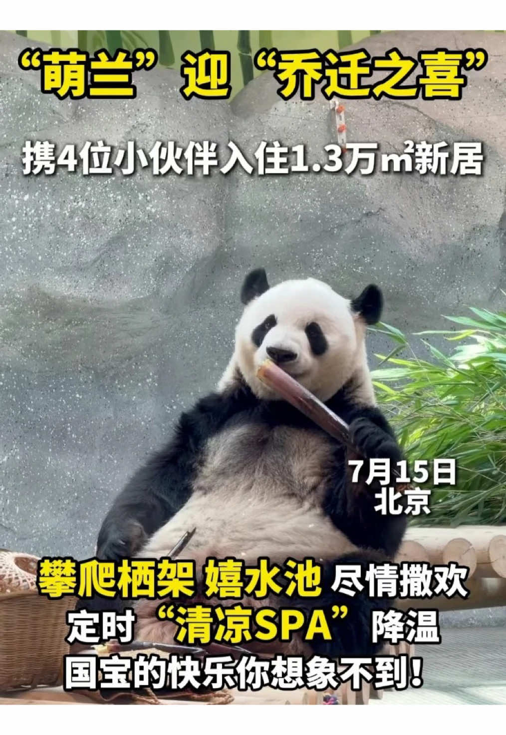 @熊猫妹珠🐼