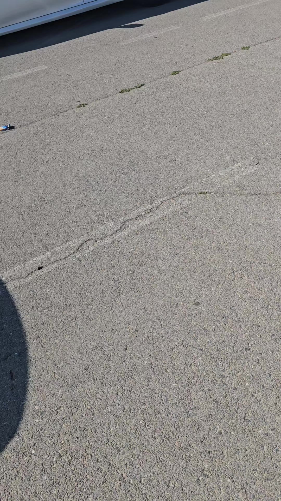 @DM AWTO ŞAYLAR
