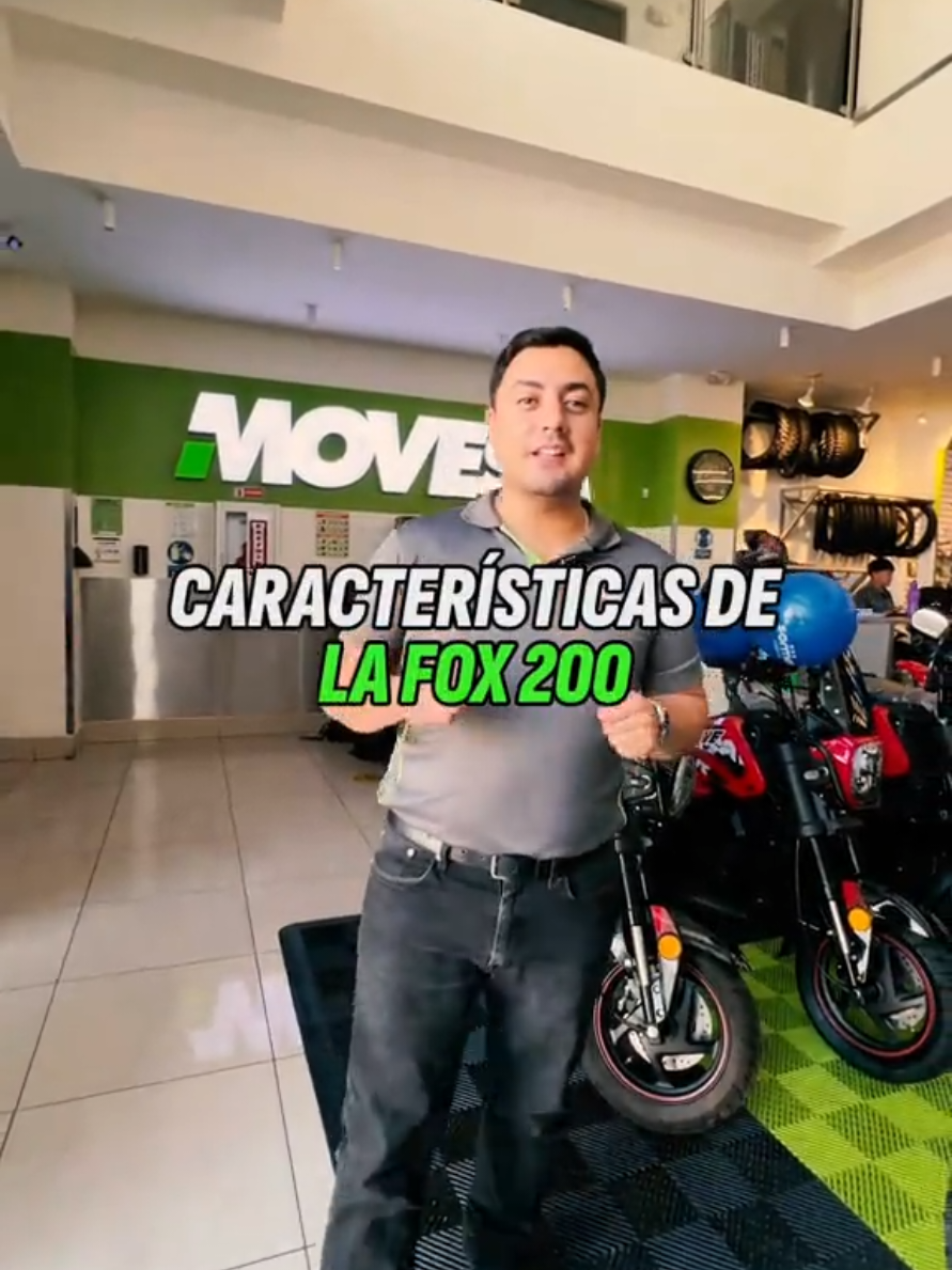 @Motos MOVESA GT
