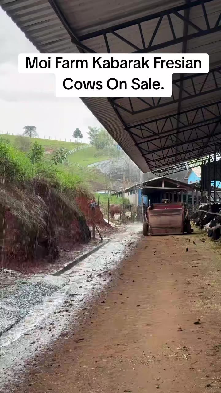@MOI FARM KABARAK.(sponsered)