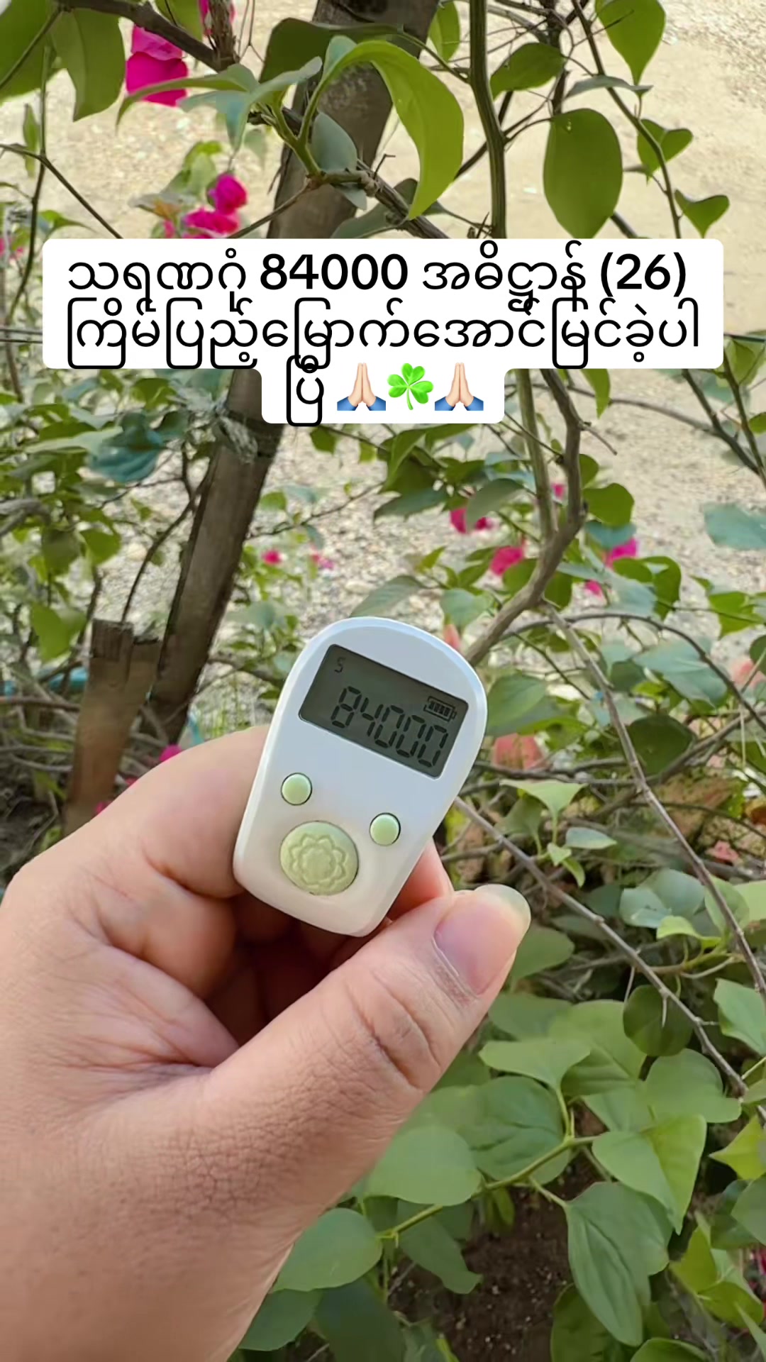 @Awchiðº âïž