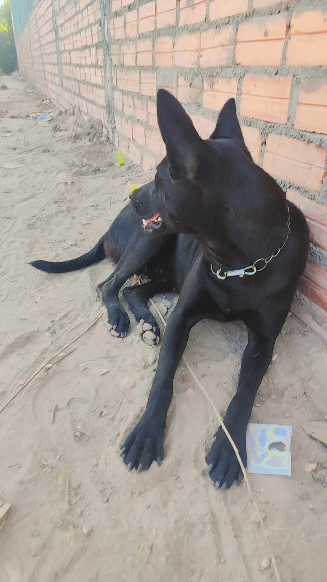 @សុវ៉ាន់🦦🦦🦦