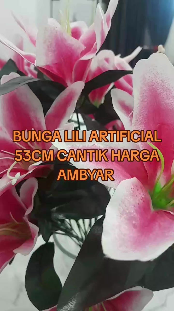 @Yanthy Gie