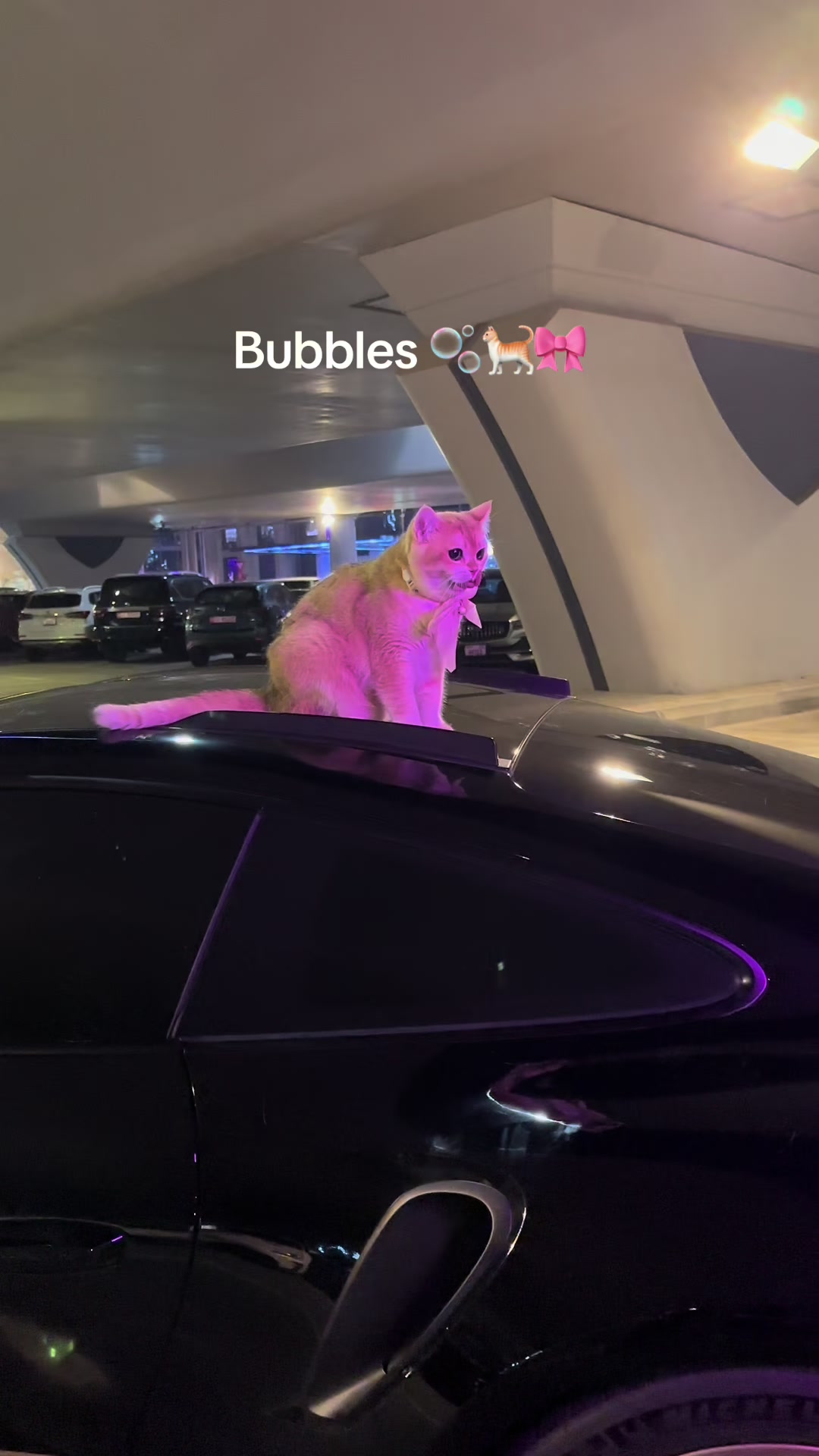 @brz