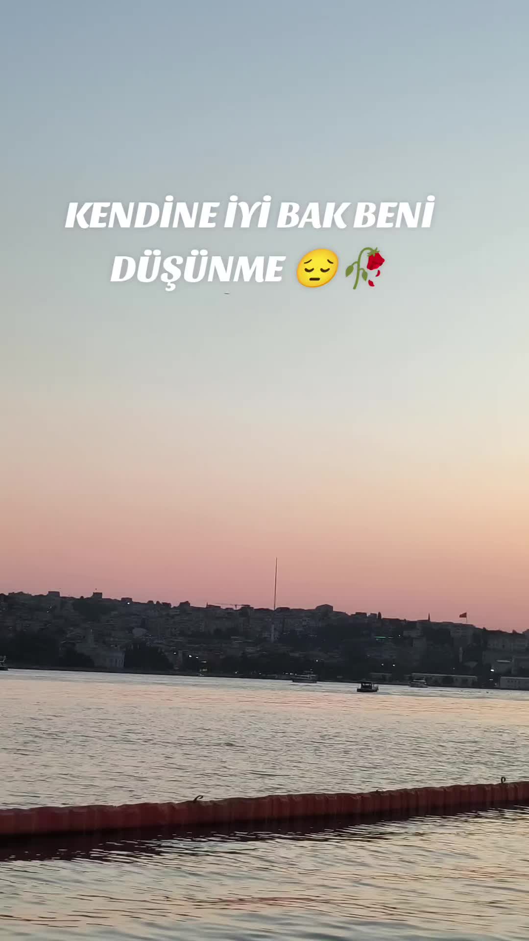 @amedli