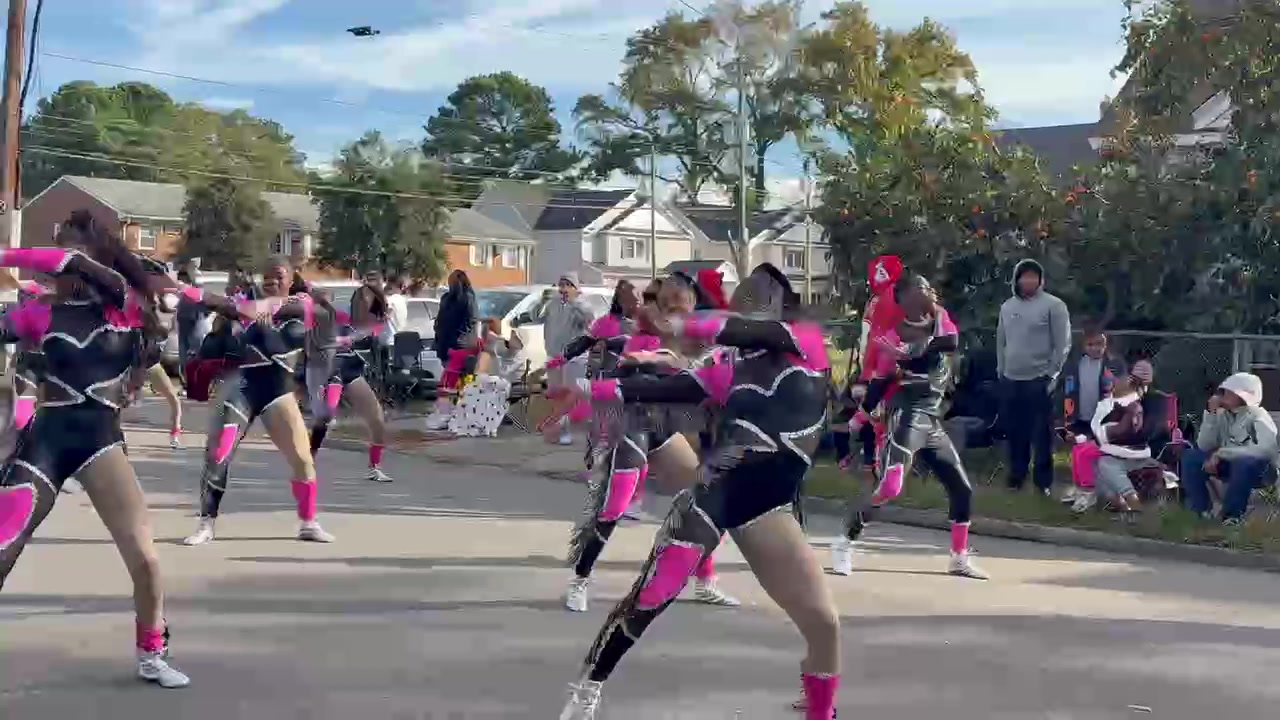 @officialpinkpearlsdanceco