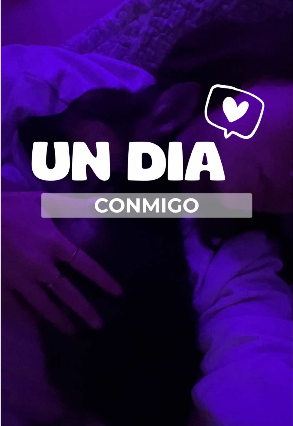 @cammivette