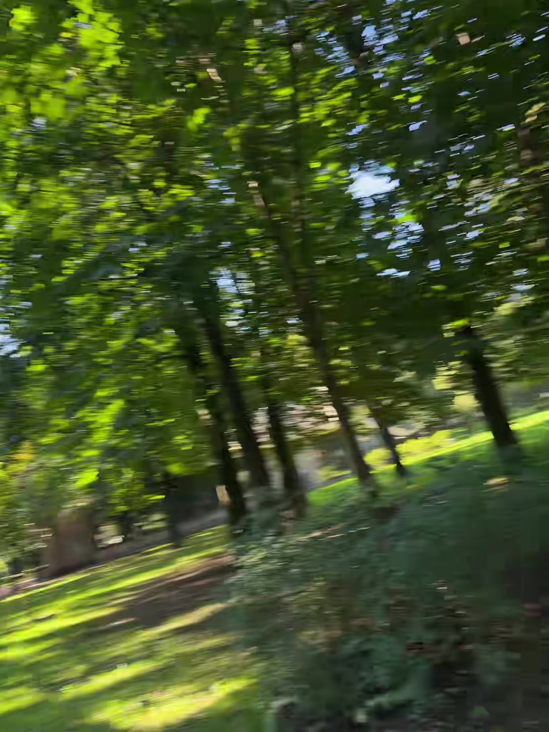 @see.yourfear