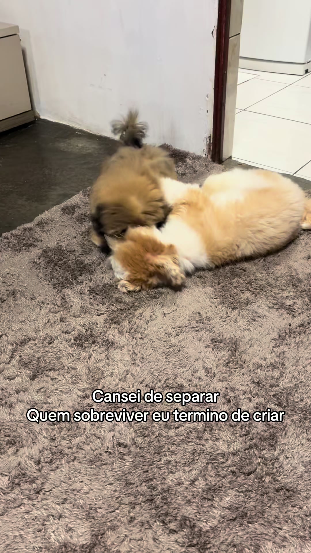 @Evelyn Passoni