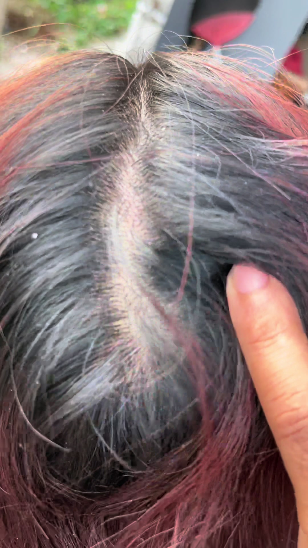 @sam rosi