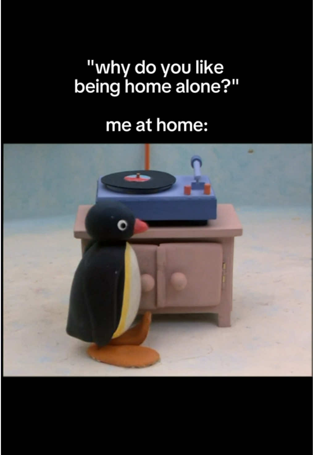 @Pingu