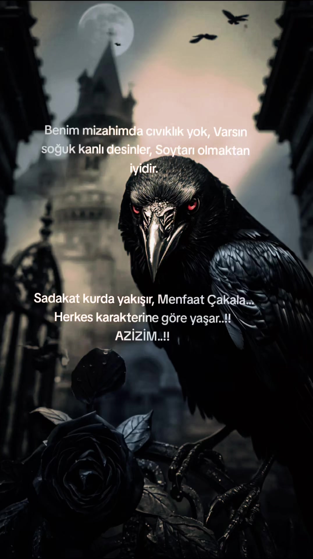 @Mehmet £m€k