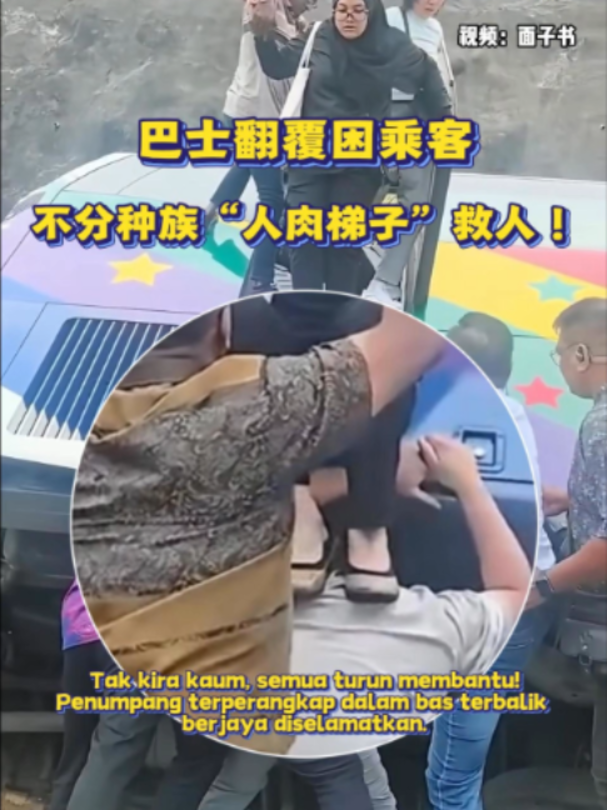 @中国报