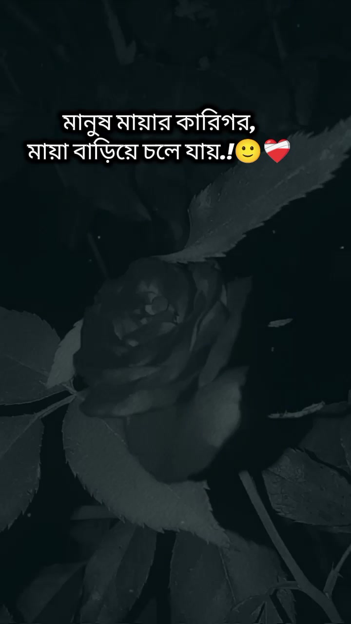 @Isha Malvia
