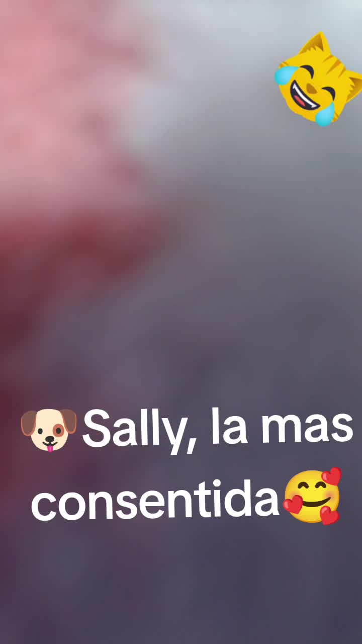@orev1992.