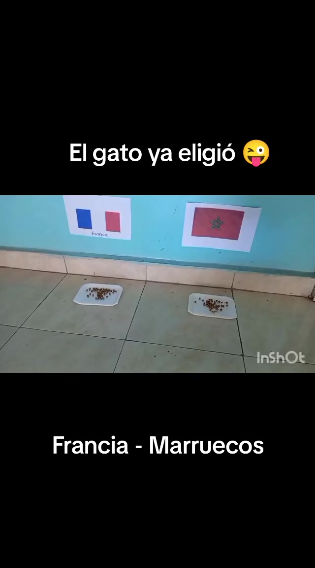 @Maria Ysabel 🇻🇪