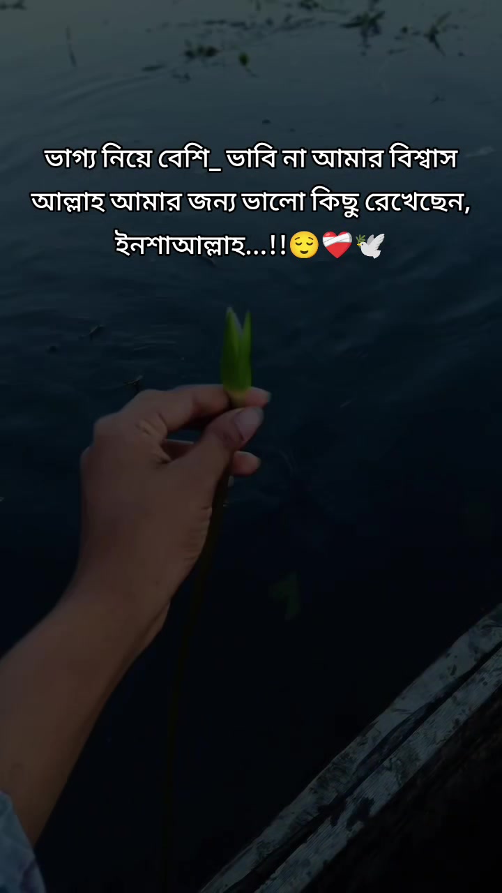 @🥀RAIYAN ER AMMU🥀