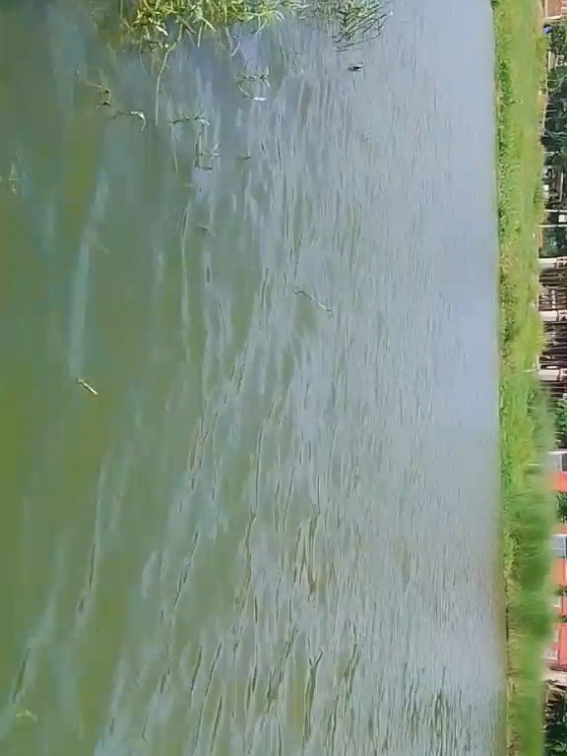 @सन्दीप सदिक्षा