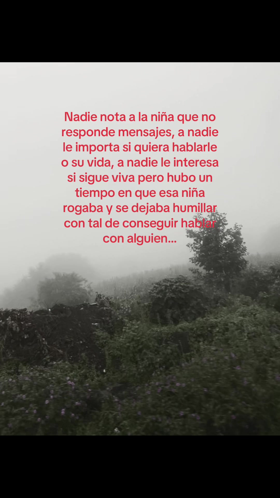 @Textos._.rojos