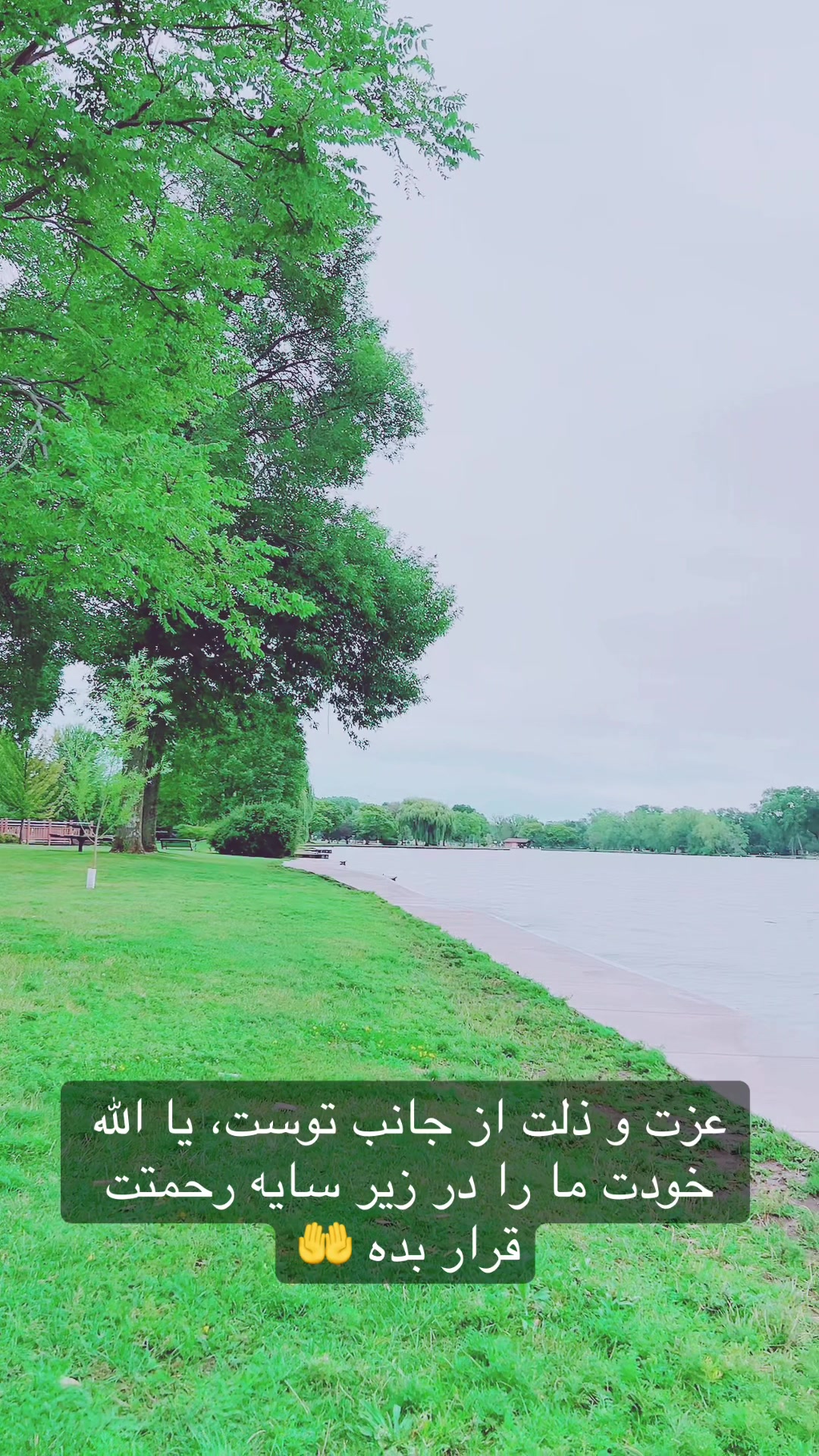 @Obaid Sader