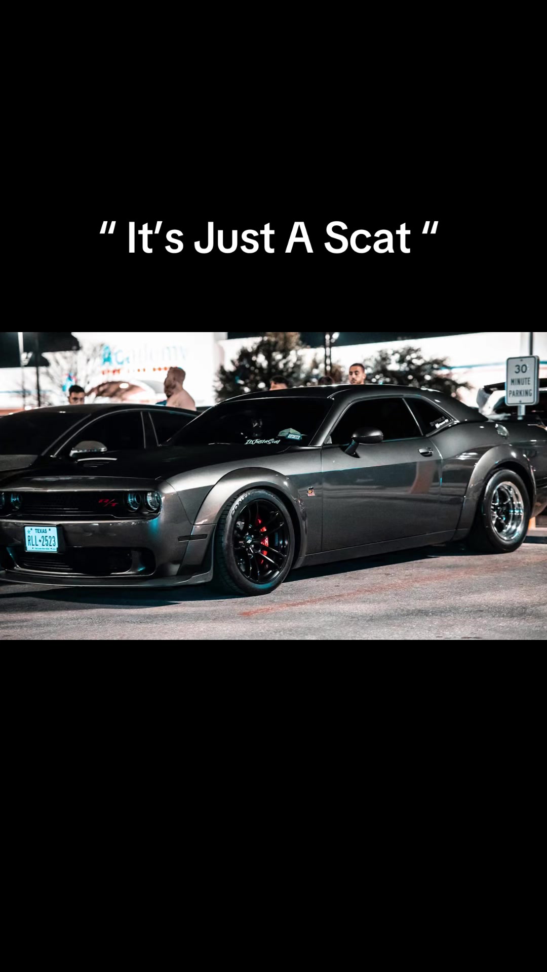 @ItsJustAScat_392