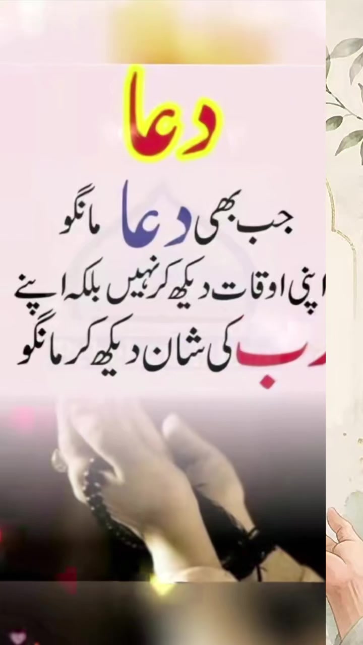 @Dua fatima