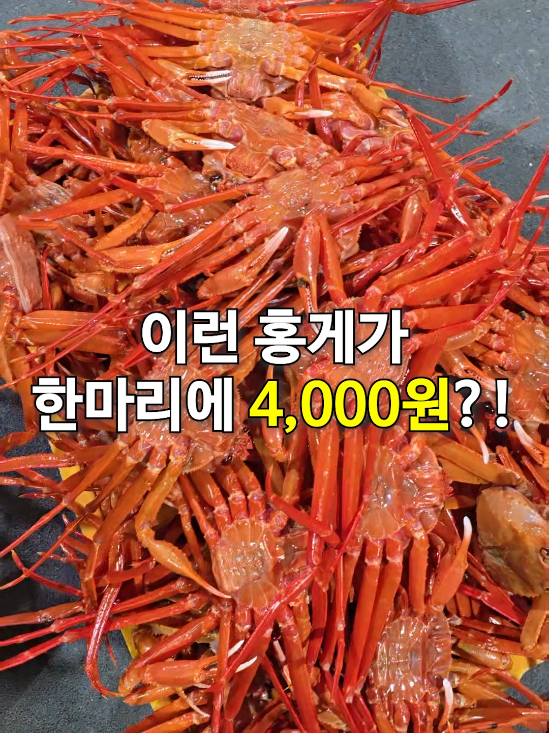 @싱싱헌터스