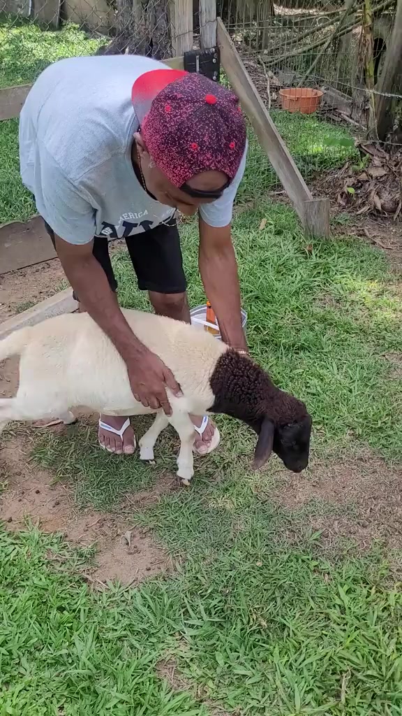 @@Pem