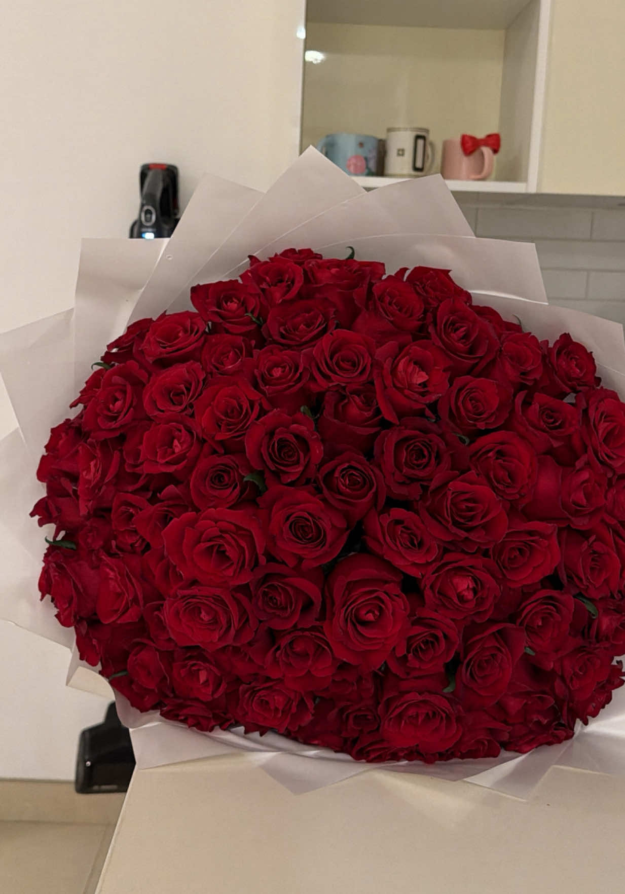 @๐๐_ุงูุฎูุงูู_ุฃู
ูู
ุฉ