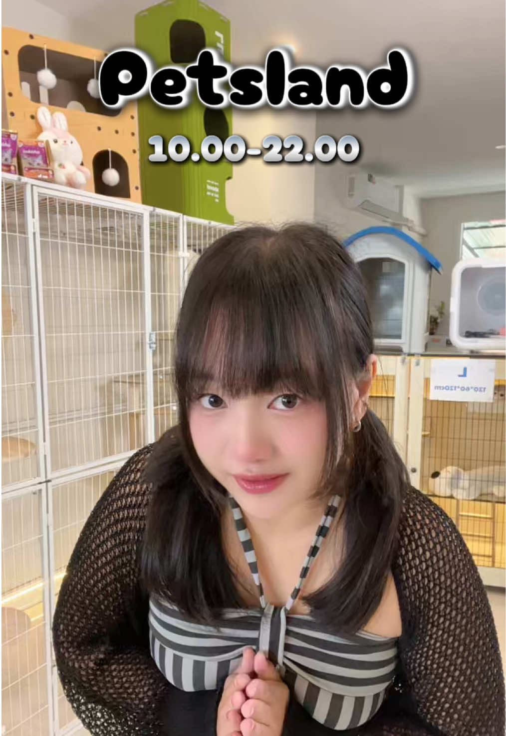 @petsland