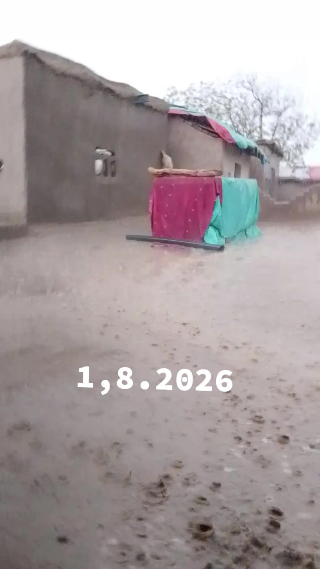 @فوزیا۔  ۔۔۔۔۔۔سومرو۔۔