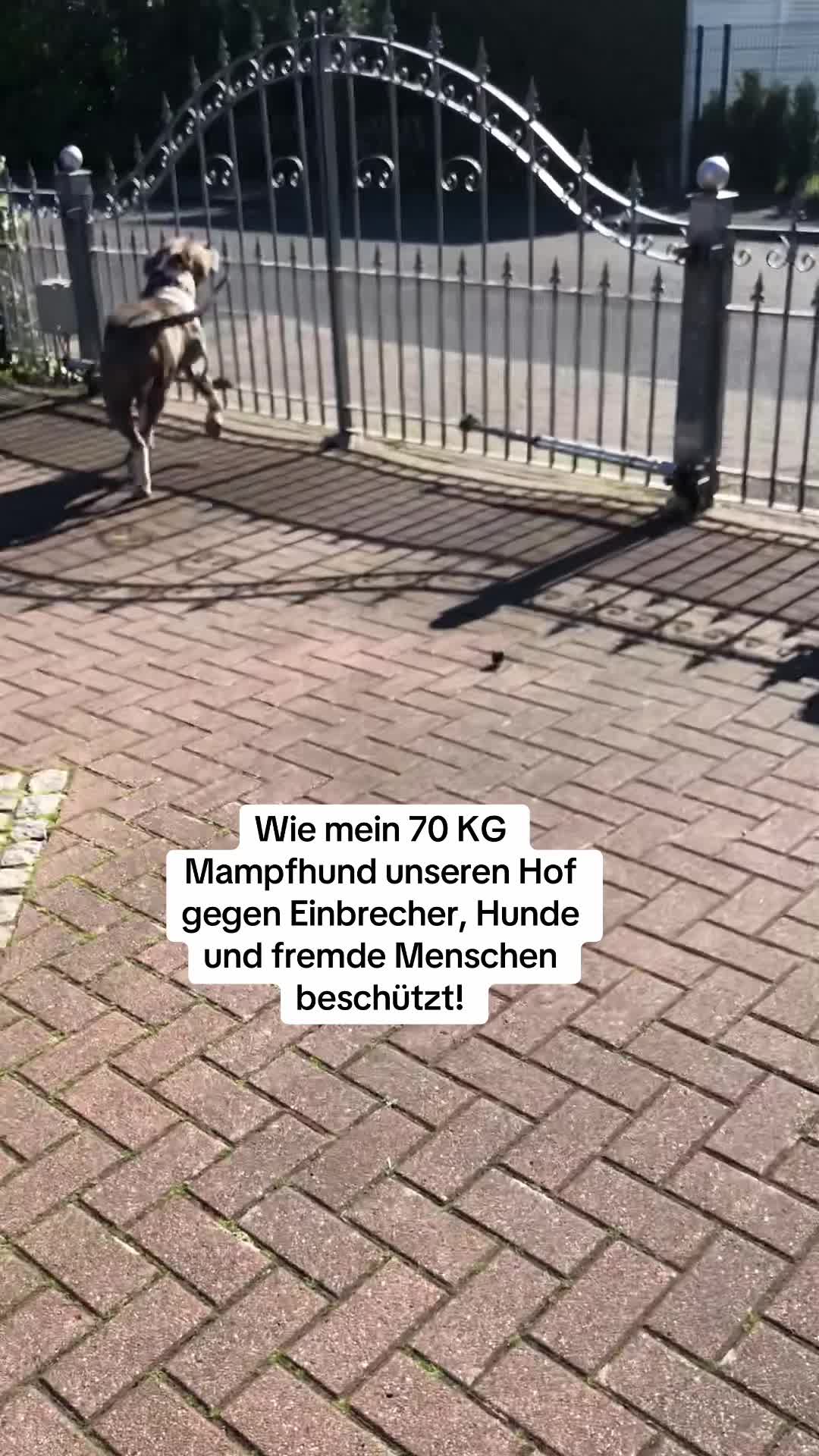 @XXLBALU