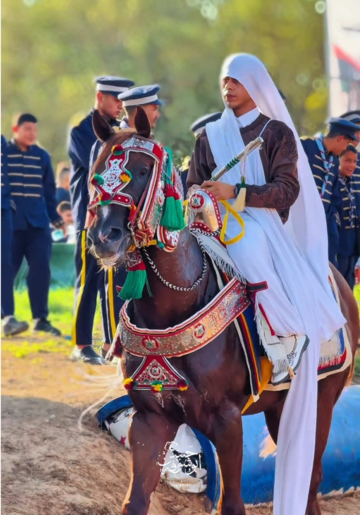 @﮼ابوشوفة 🇱🇾✌🏻🇵🇸