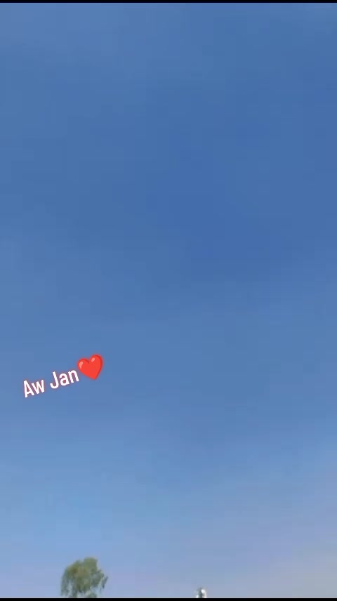 @UmairAfridi821🤬