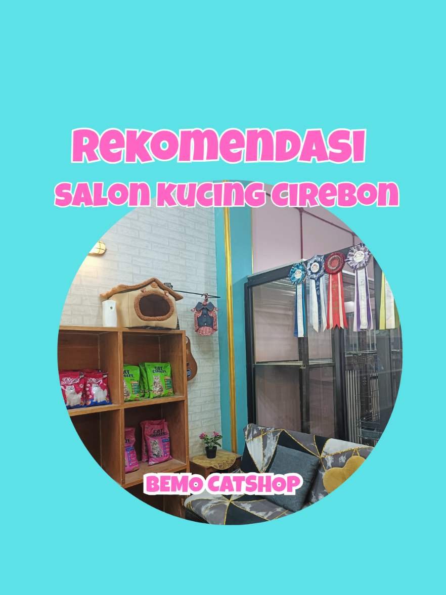 @Bemo Catshop
