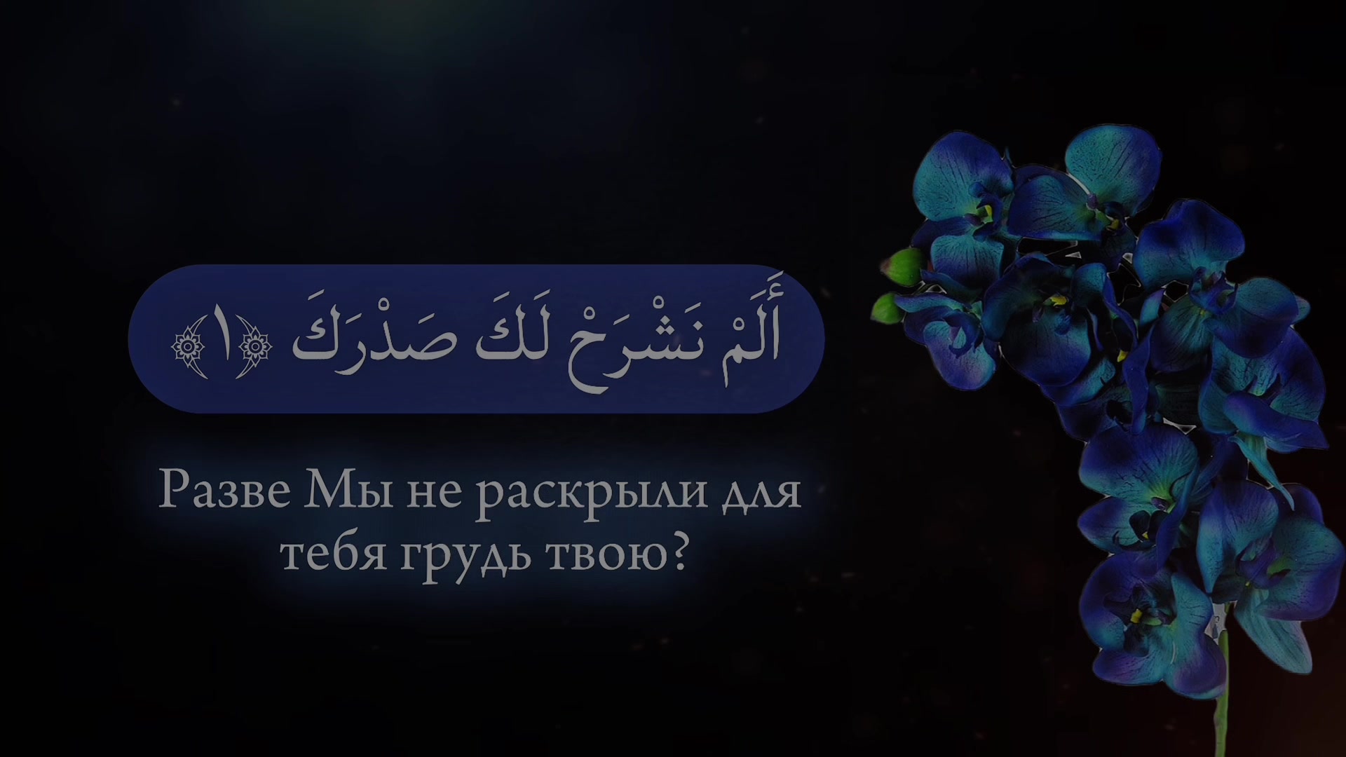 @★ваша ухтишка★