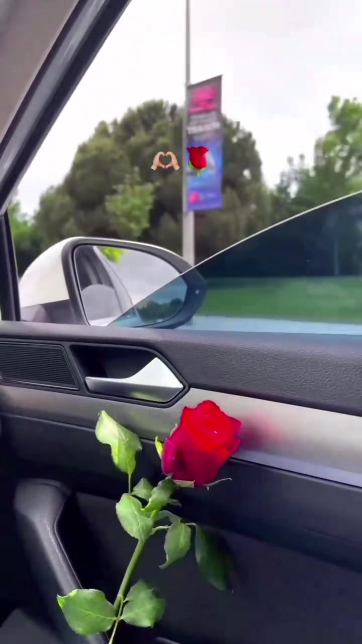 @R&uuml;zgar3232