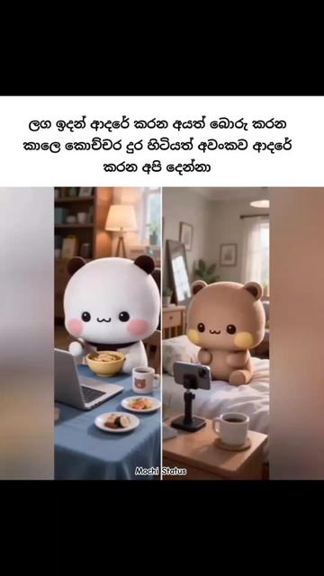 @<м&sigma;&cent;н&iota; ѕт&alpha;т&upsilon;ѕ🐼🤍
