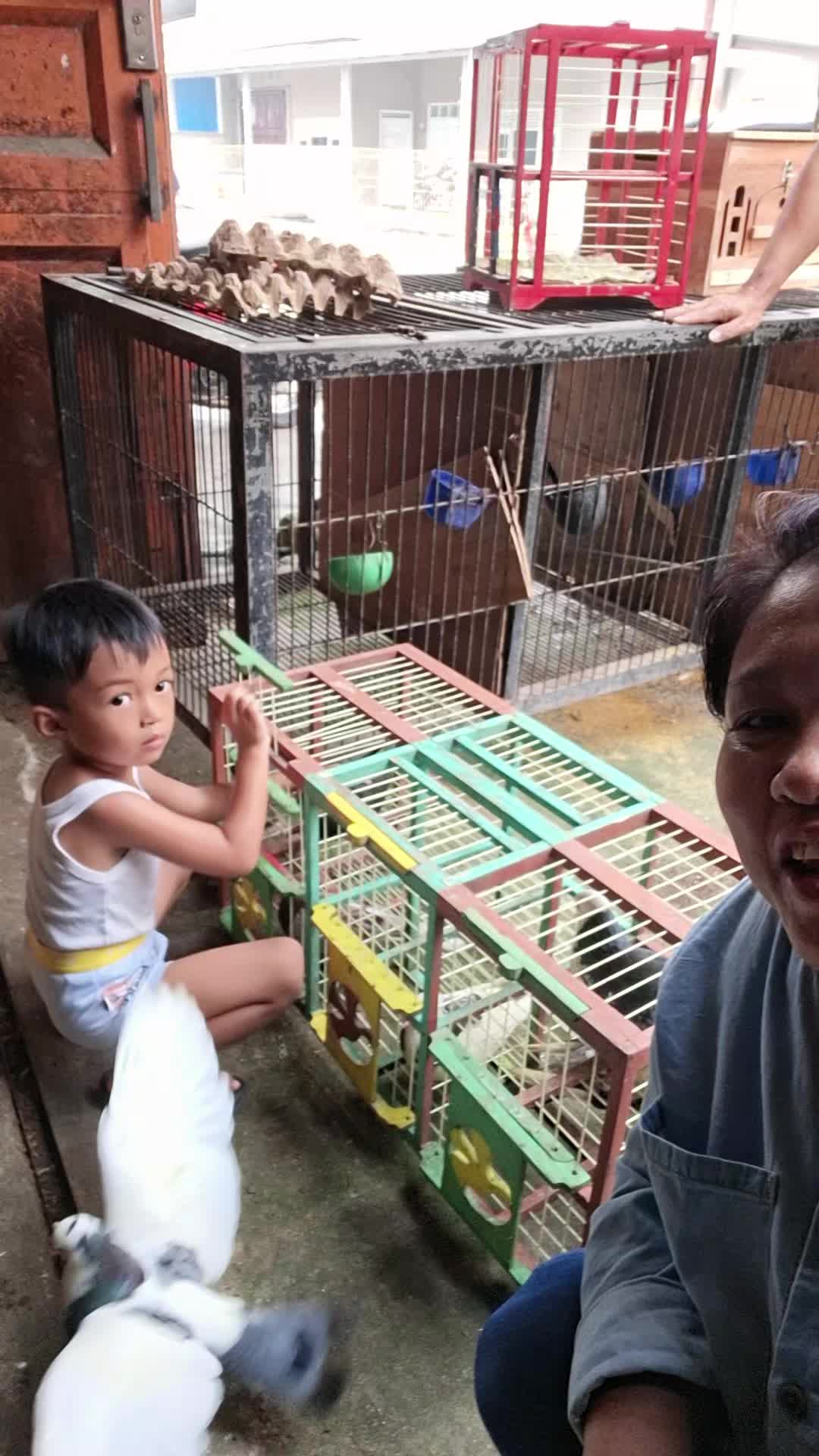 @Naga jaya