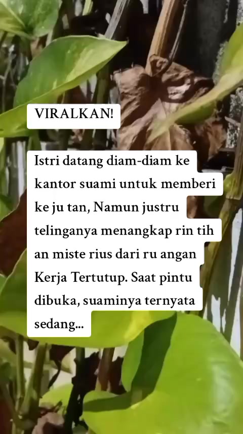 @senyumkata