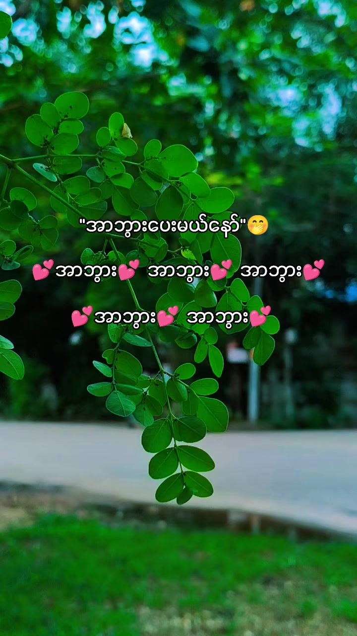 @๐ฅ๐ต๐๐๐ฆ๐ฅ๐ฟ๐๐ฆ๐ฅ(official)