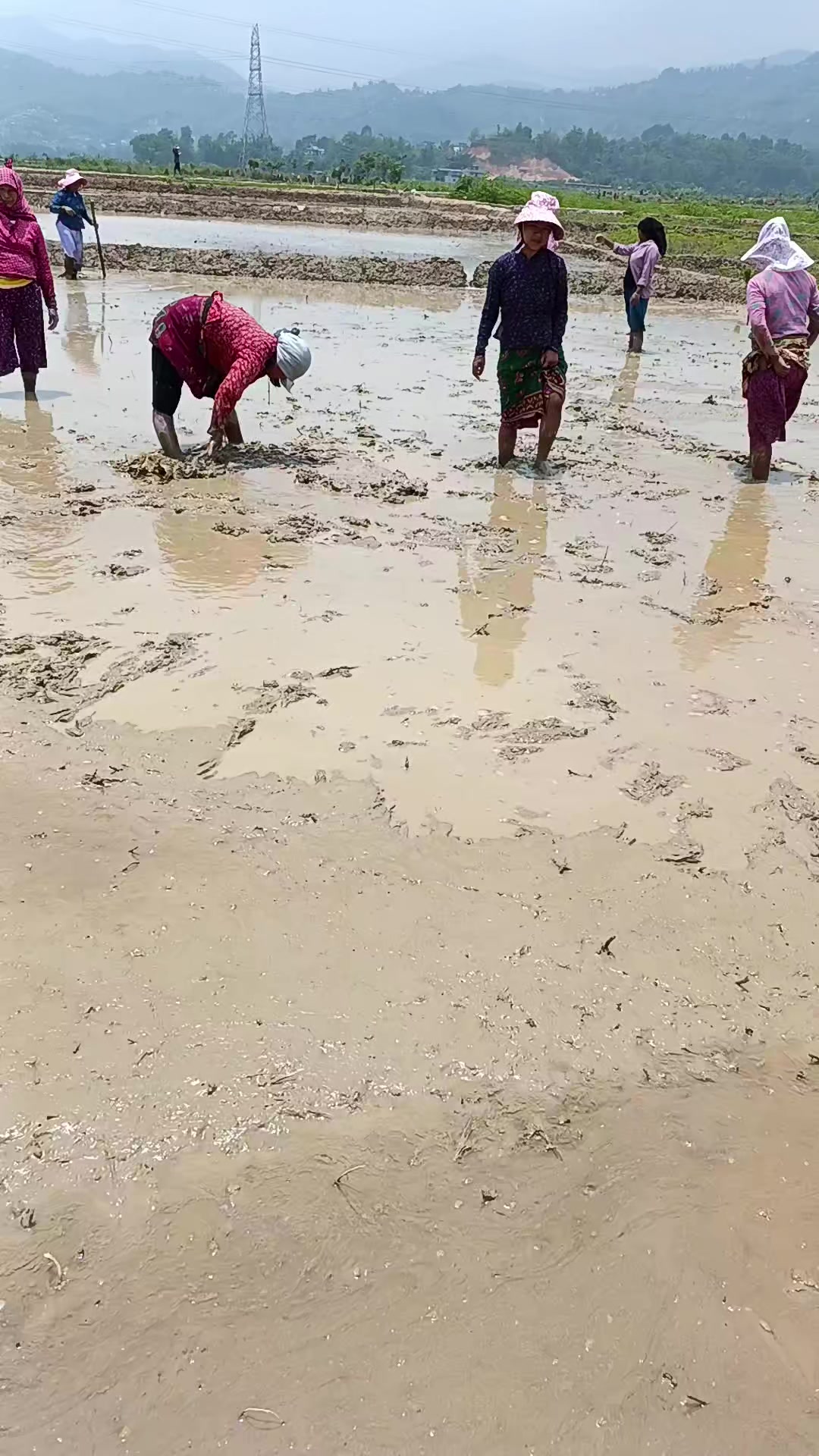 @Malati Rana Chidi