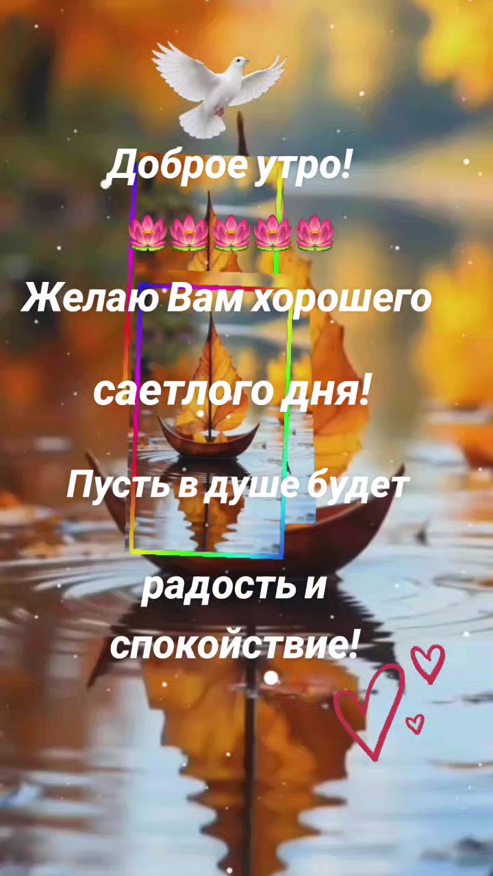 @Елена Паша