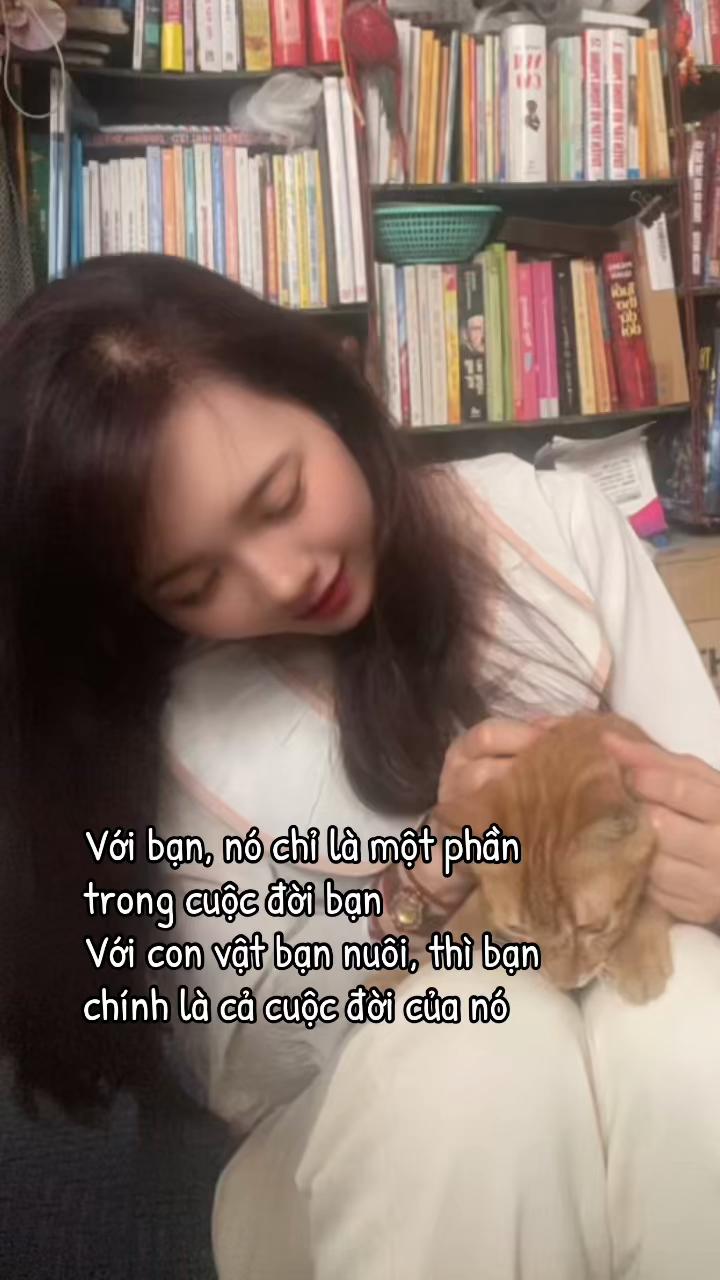 @Nhật Nguyệt tịnh Minh♊️