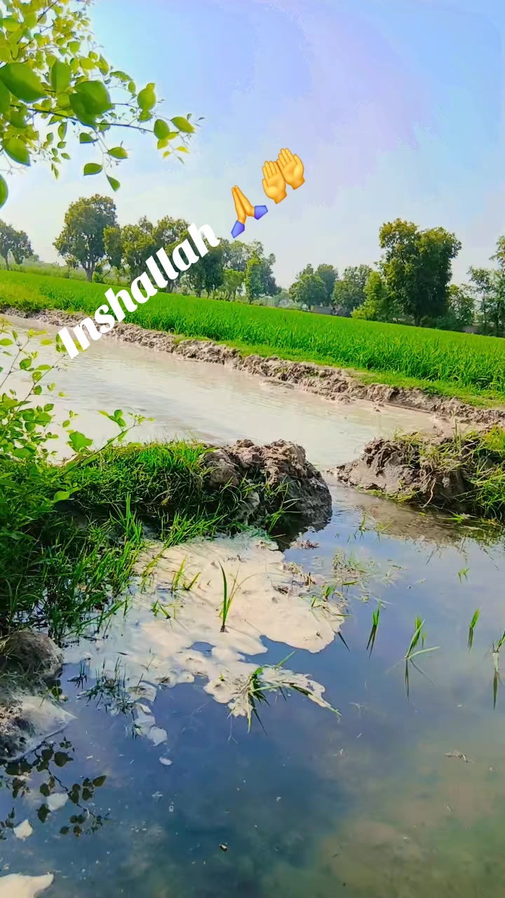 @Ch Adeel Kamboh