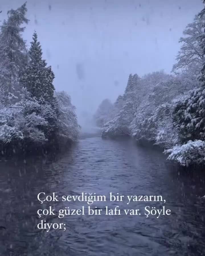 @kelebeğin rüyası