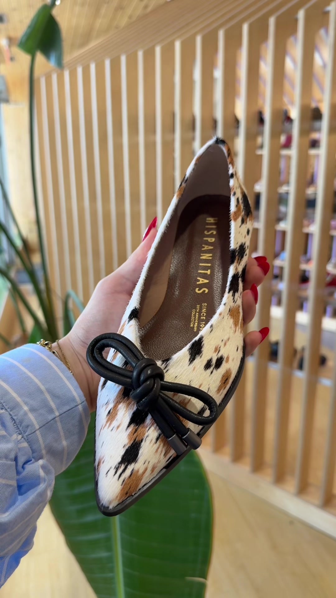 @Chaussures Pierre Roy