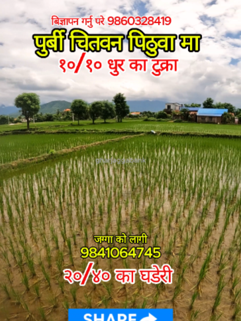 @Ghar Jagga Bank