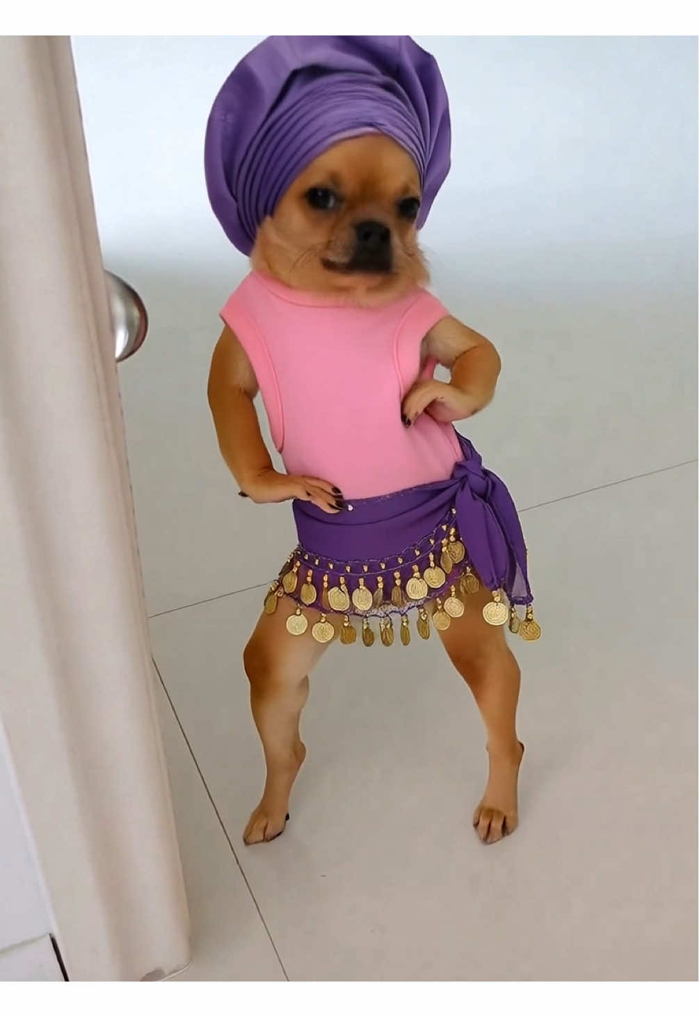 @Pawty