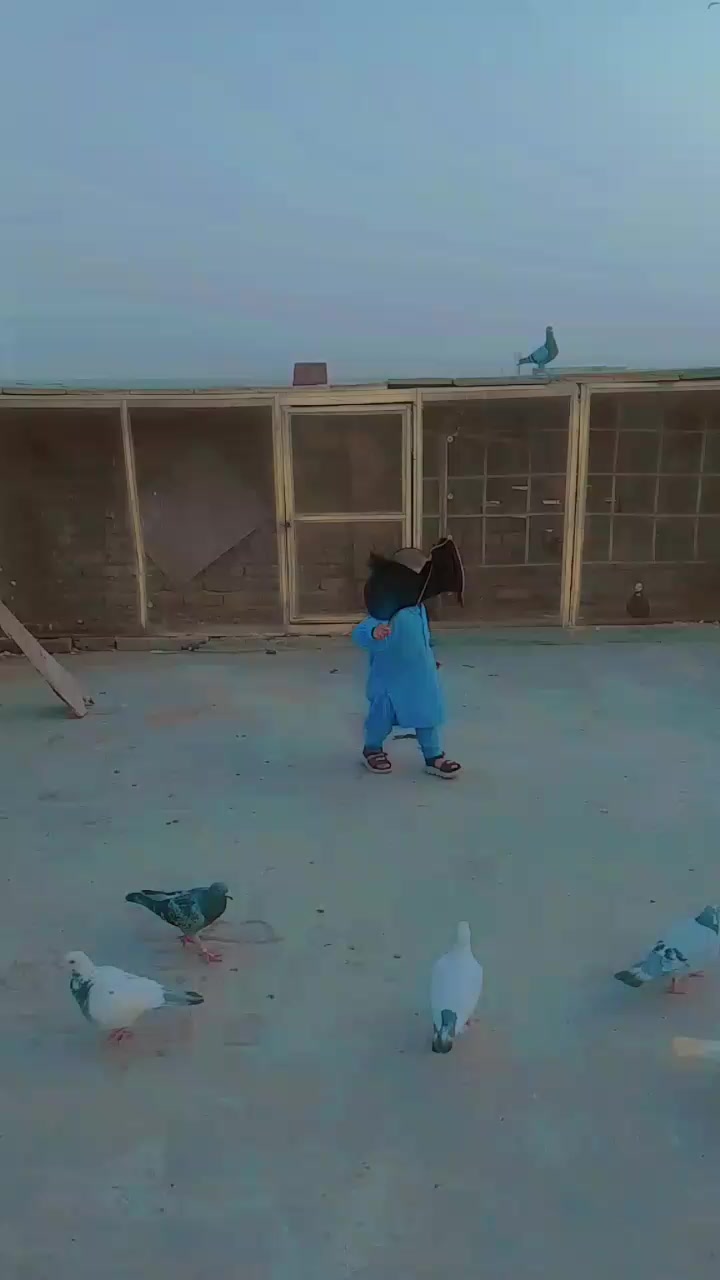 @بلال وسیر✨